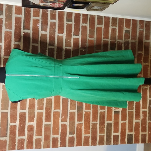 The Limited Kelly Green Fit And Flare Dress, Size 8 - Picture 4 of 8